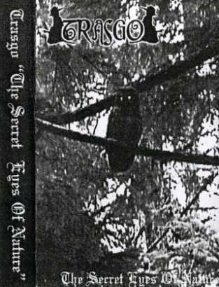 The Secret Eyes of Nature